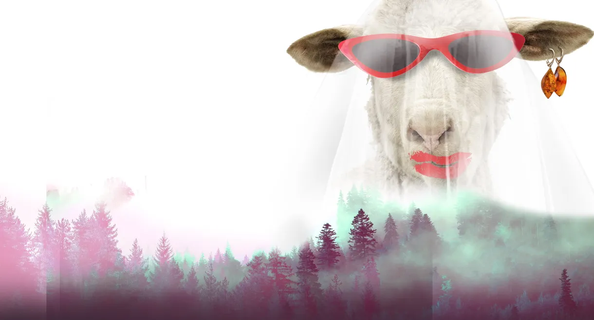 U Get What U Kiss 2: The Crazy Bride