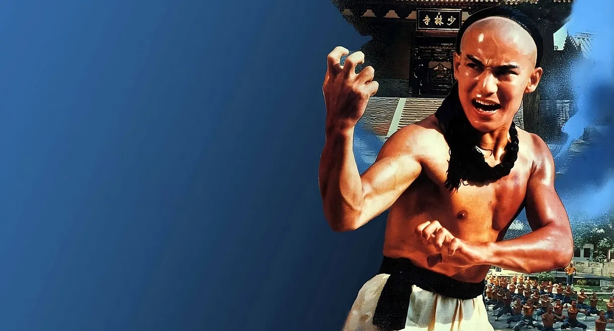 The Young Hero of Shaolin