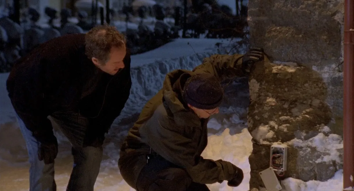 Wallander: The Brothers