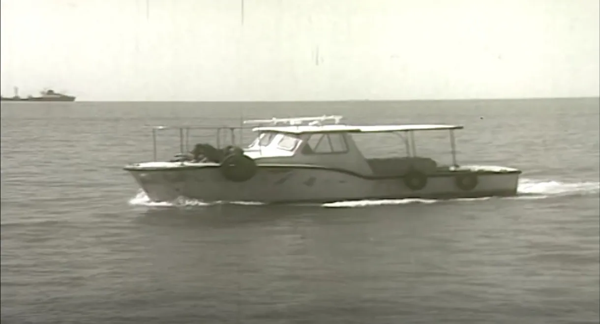Cards on the Table: Blue Sky in the Split of Leaf