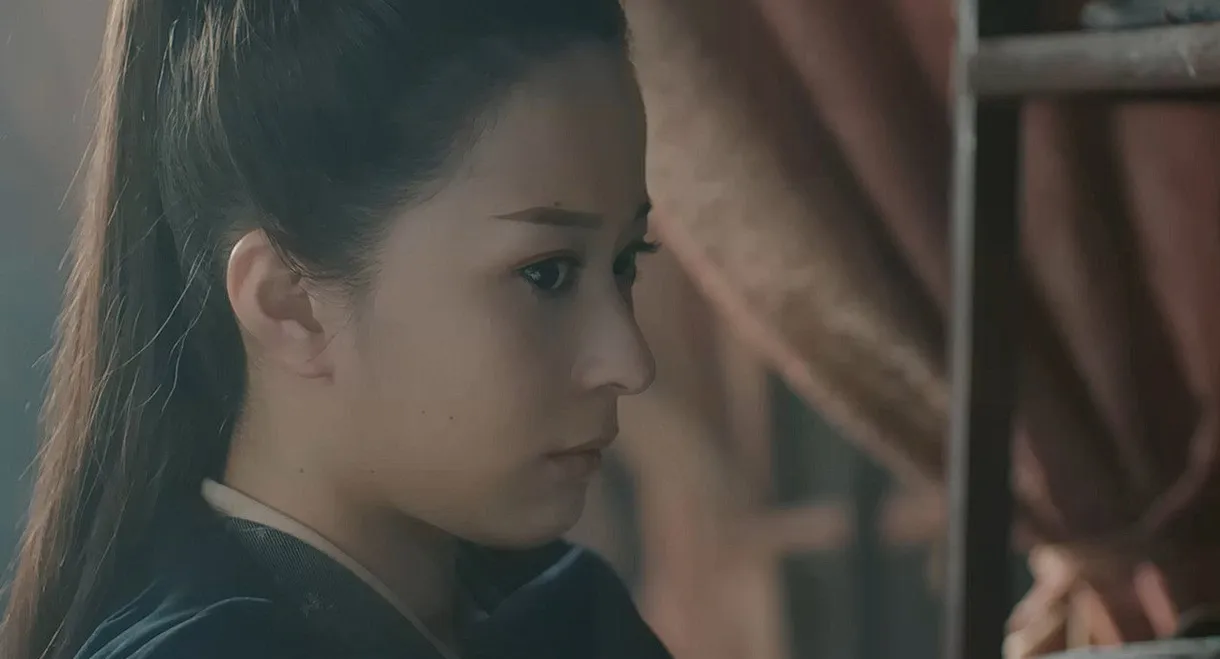 A Case of a Missing Cat