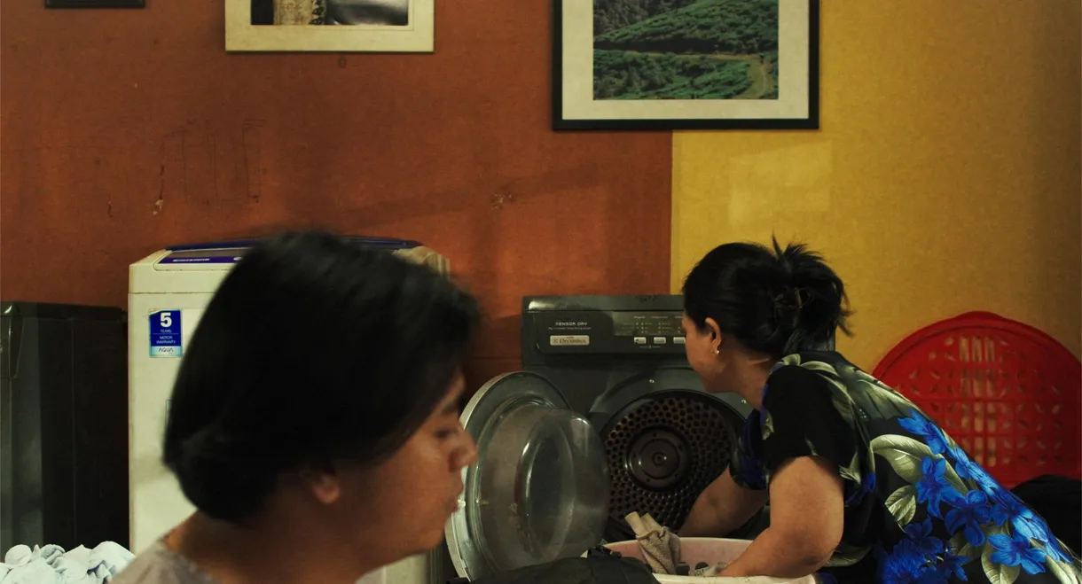 A Burger I Never Ordered