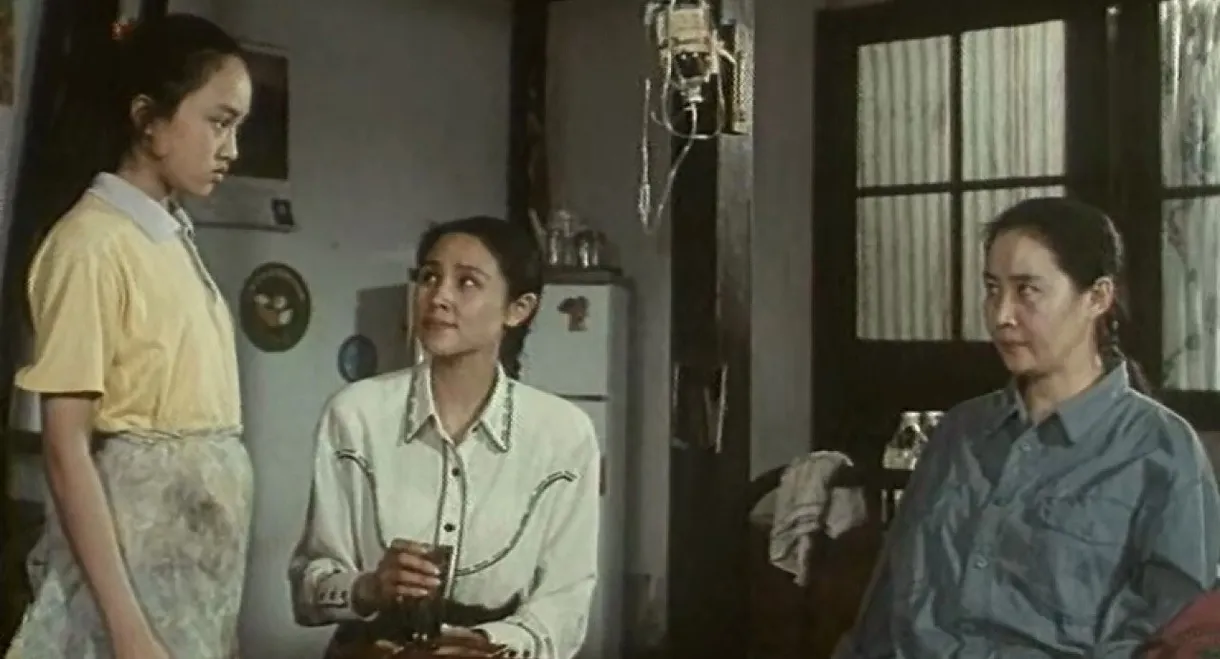 一个独生女的故事