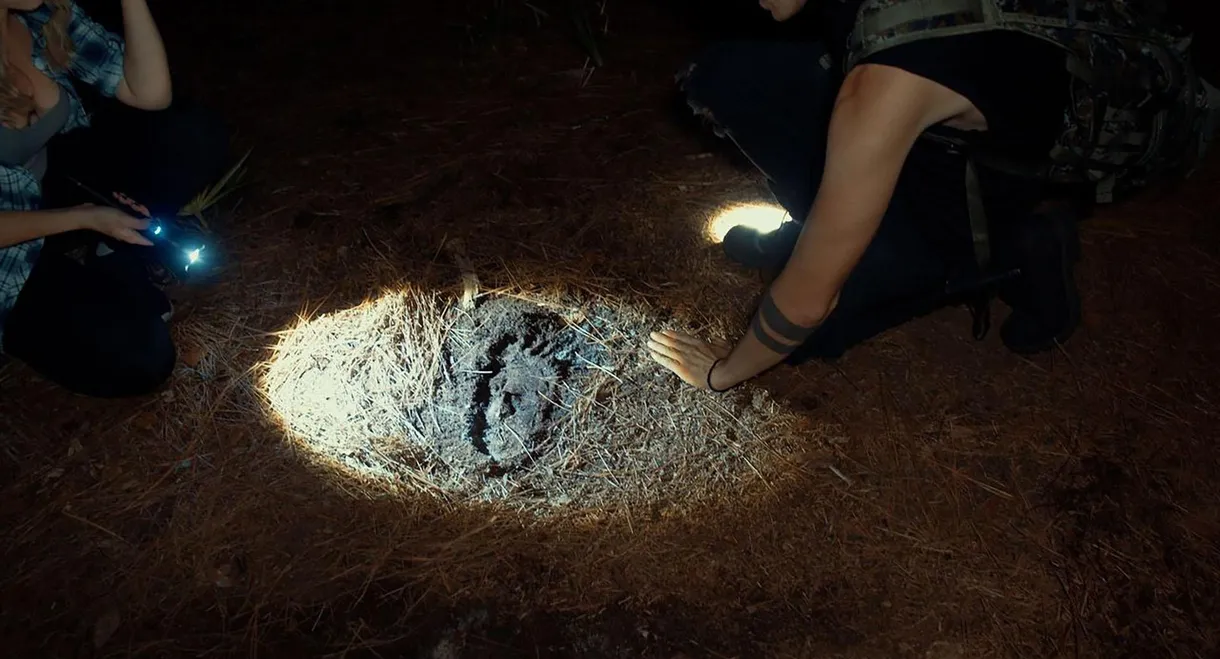 Shadows of Bigfoot