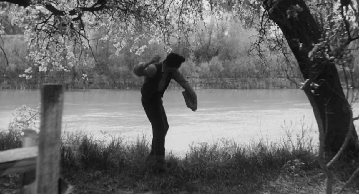 John Ford and Throwing