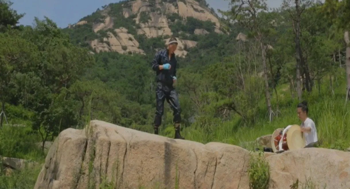 Dempseyroll: confessions