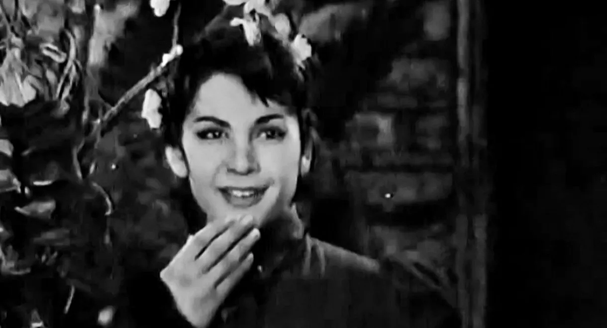 Blossoming Almond Tree