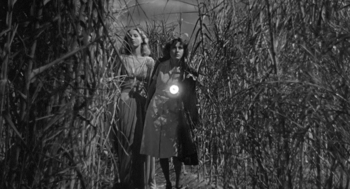 I Walked with a Zombie