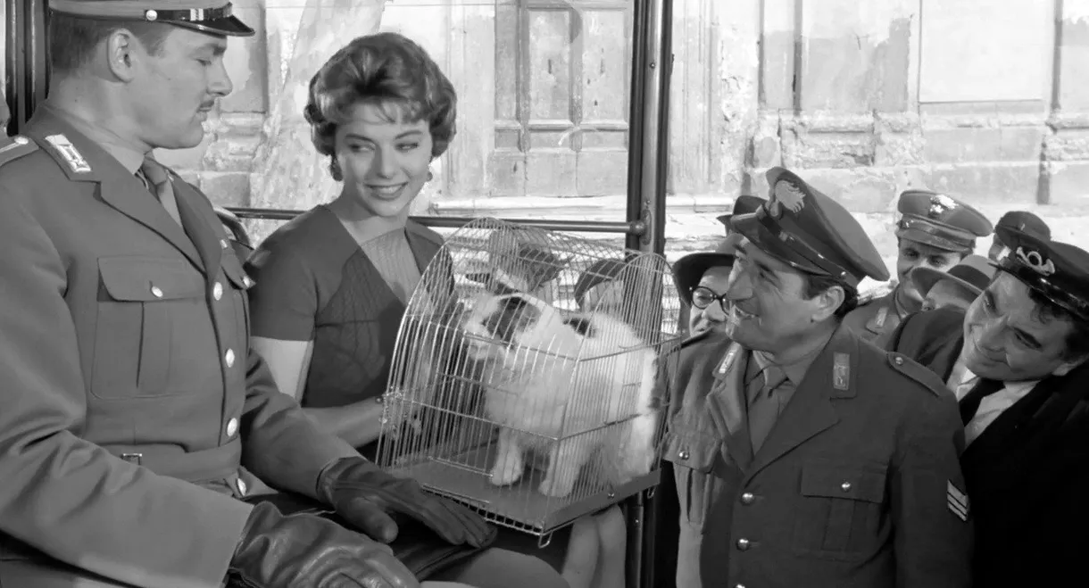 Tuppe tuppe, Marescià!