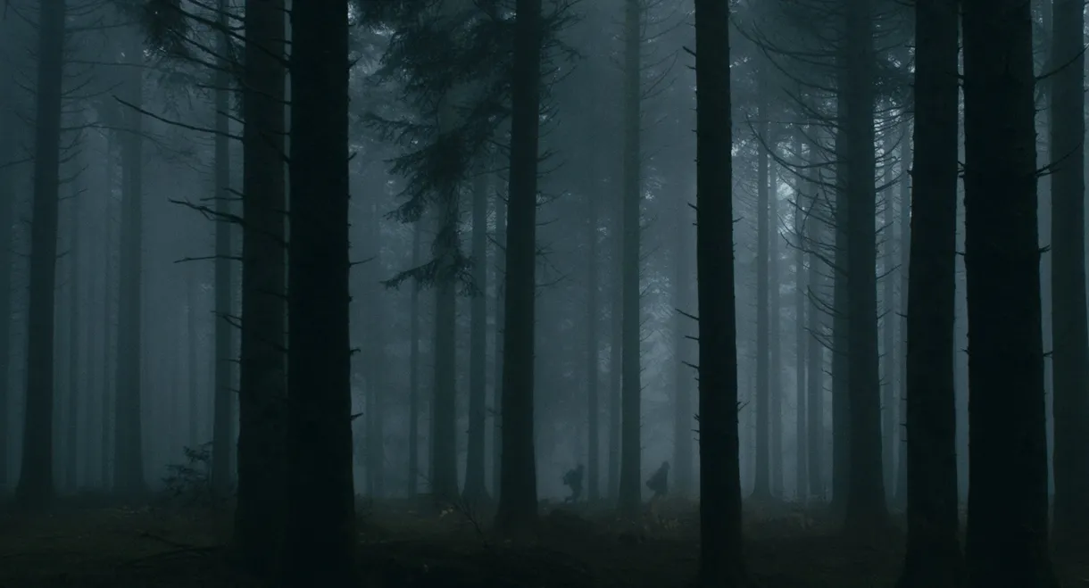 Dark Heart of the Forest