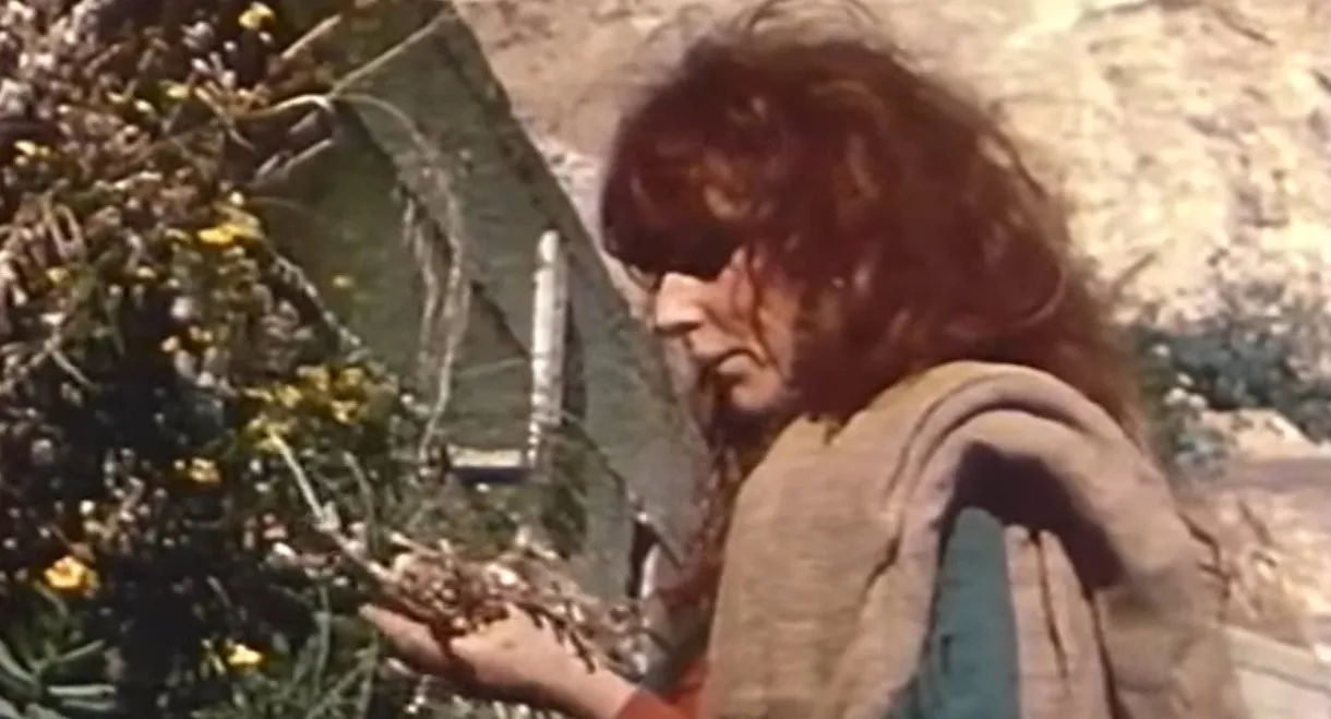 Vali, The Witch of Positano