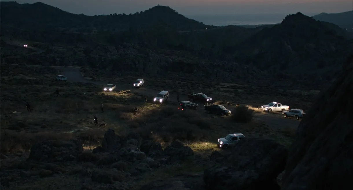 All the Fires the Fire