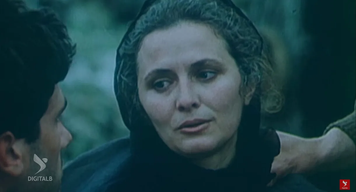 The Stones of my House