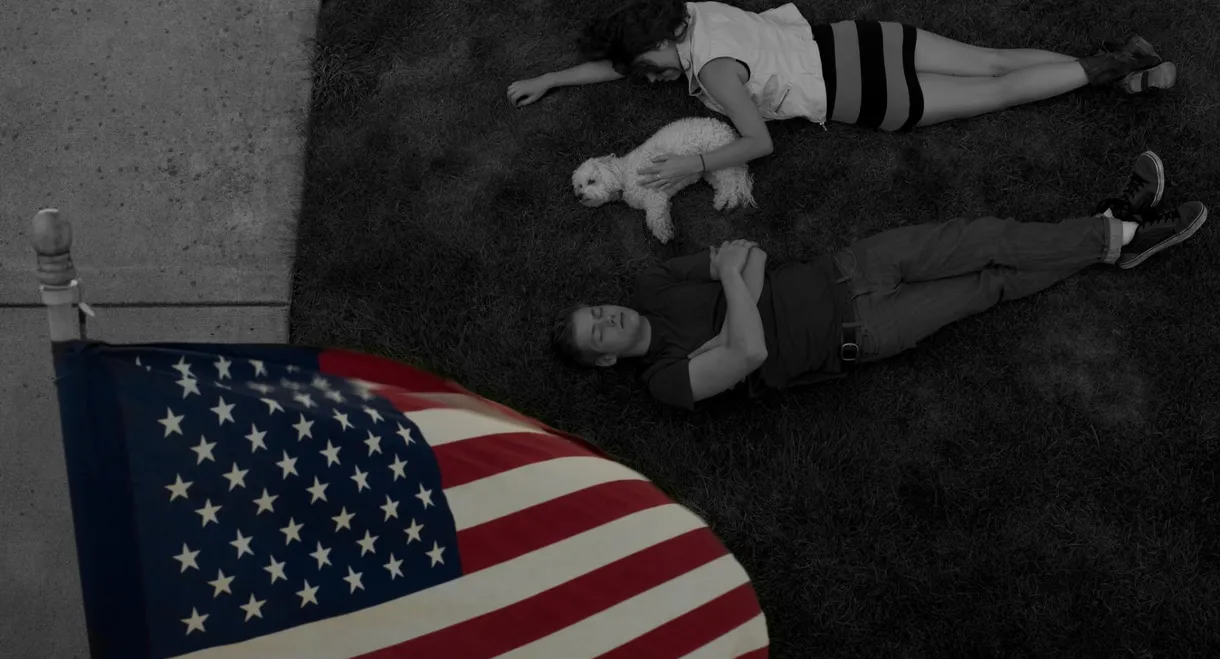 Deer in the Headlight