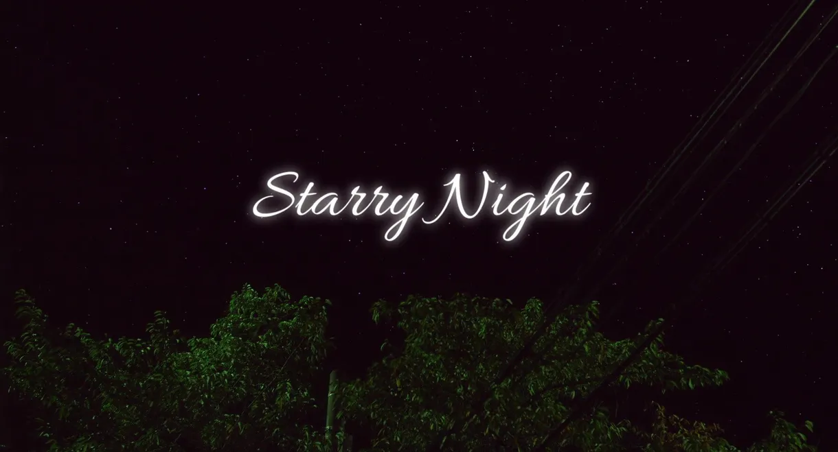Starry Night
