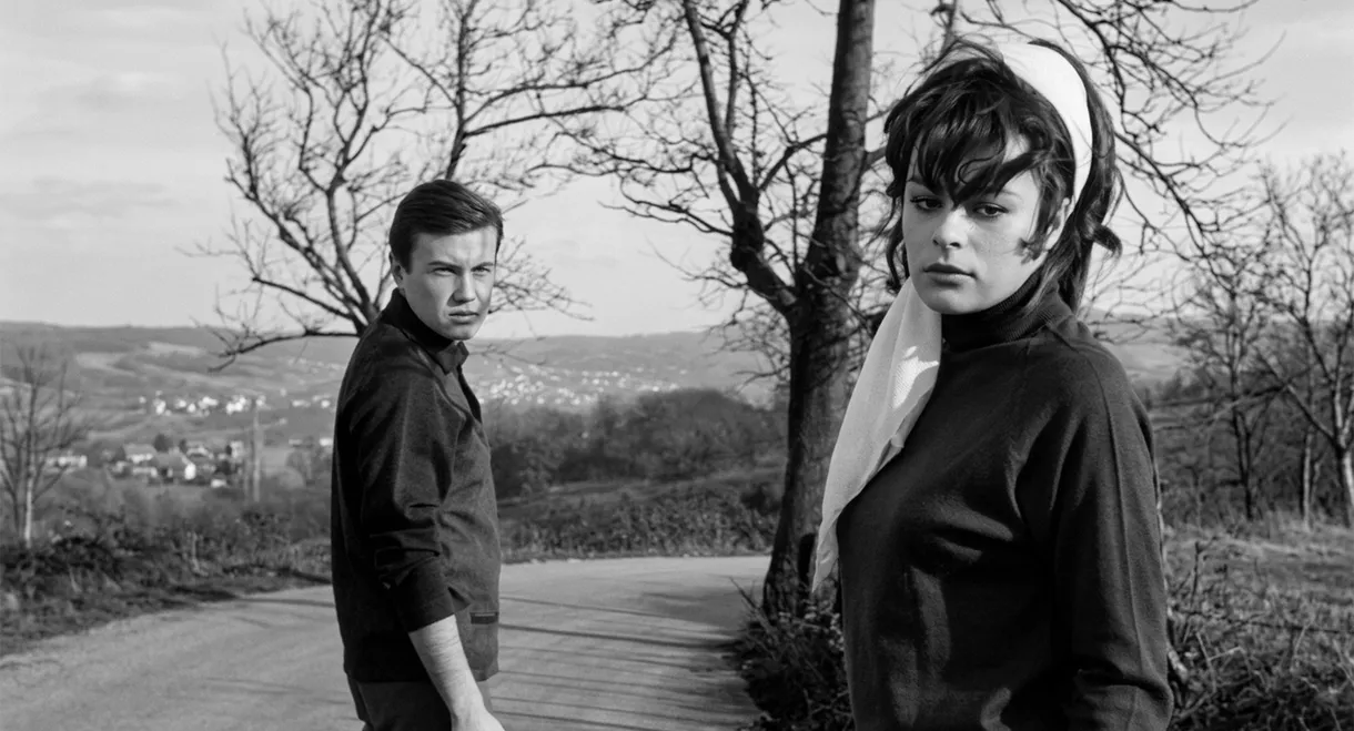 Yıldızların Altında