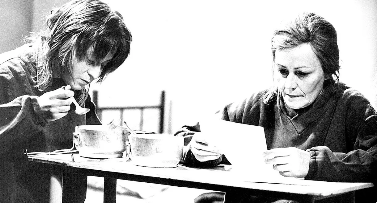 Zatmění všech sluncí