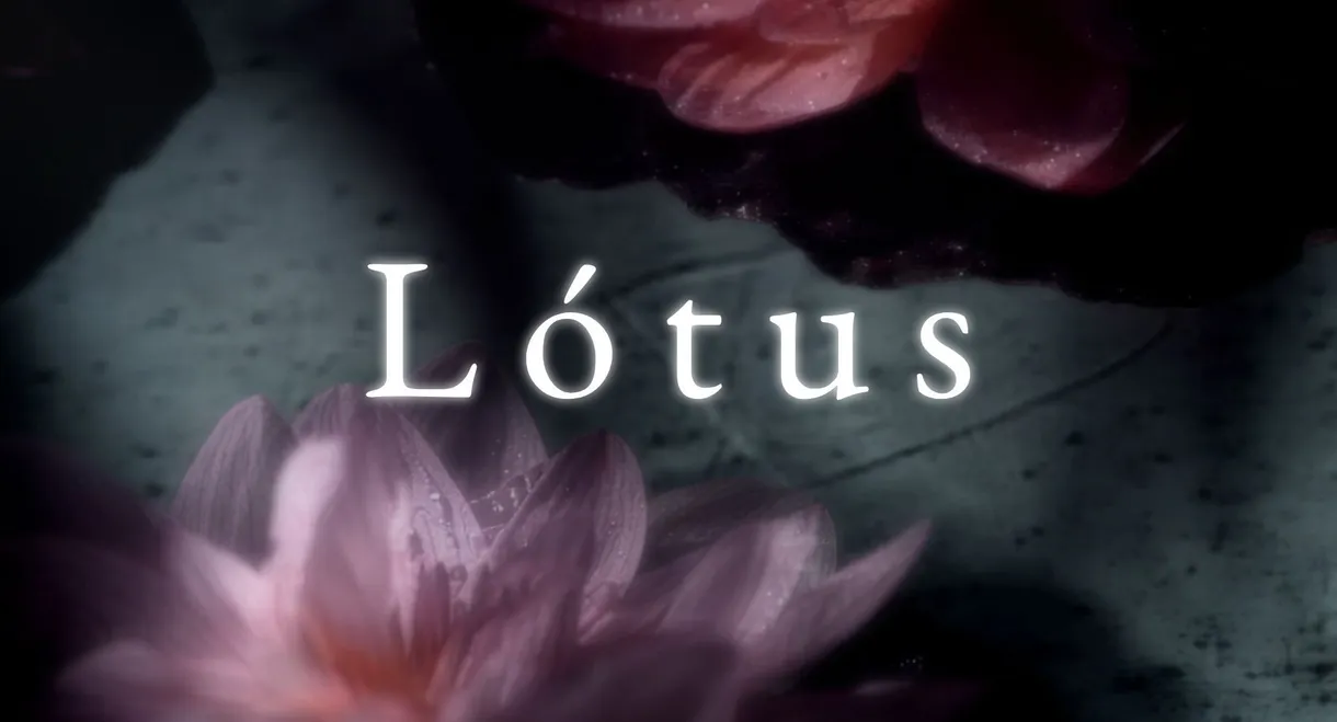 Lótus
