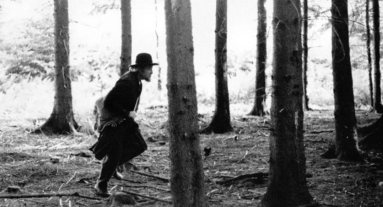 The Sudden Wealth of the Poor People of Kombach