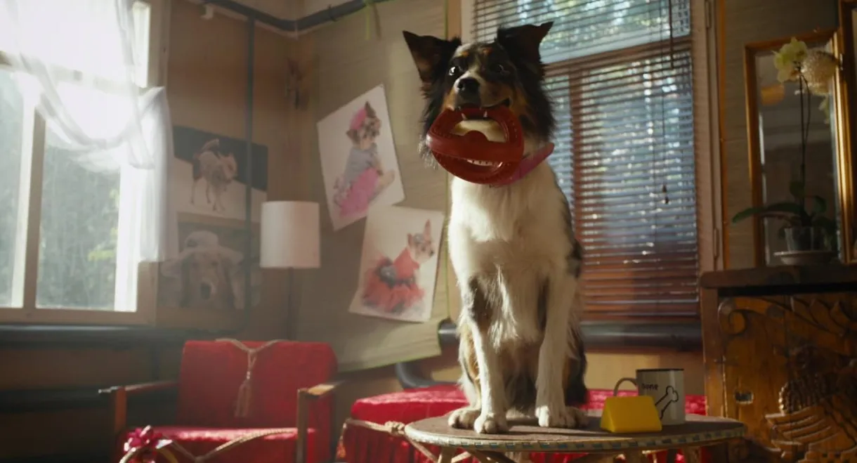 It's Not My Freaking Business