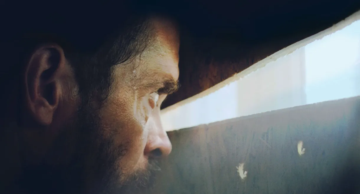 Siege on Liperti Street