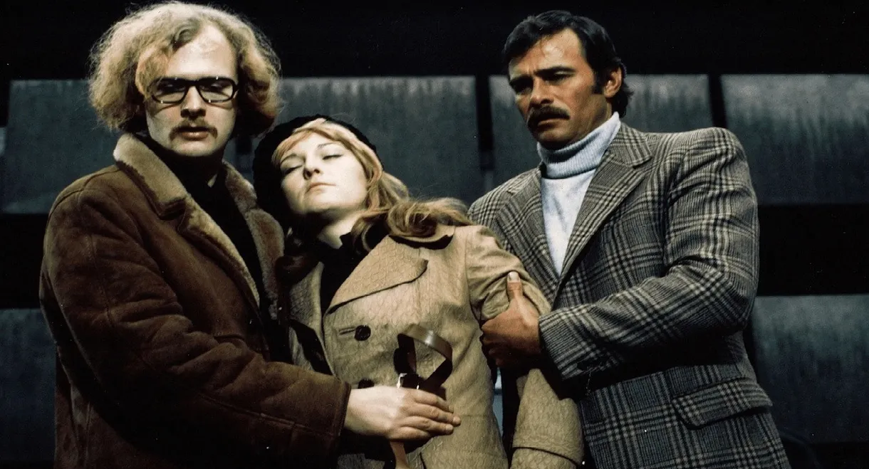 Dead Pigeon on Beethoven Street