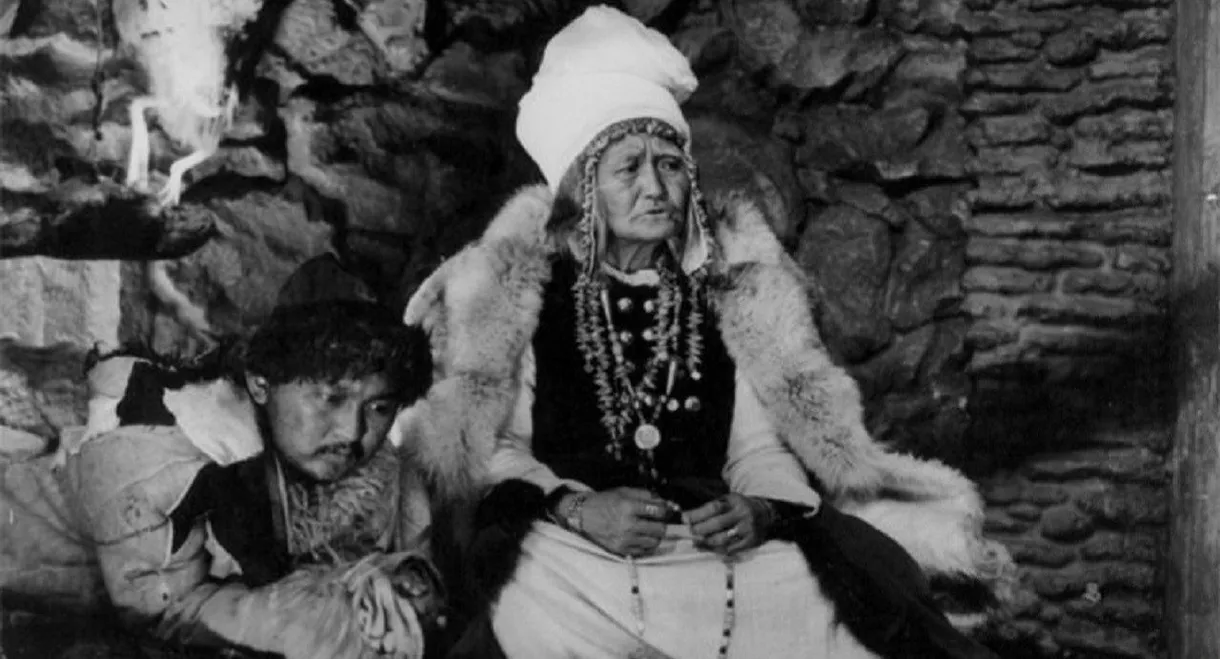 The Descendant of the Snow Leopard