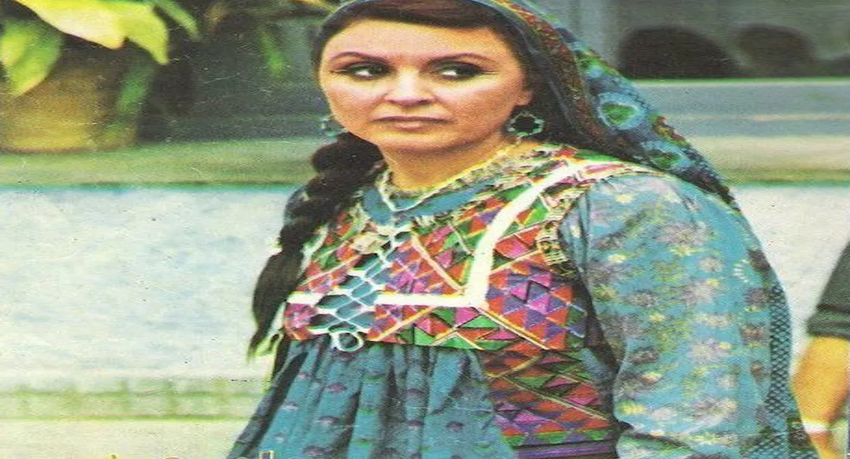 Afghanistan For What?