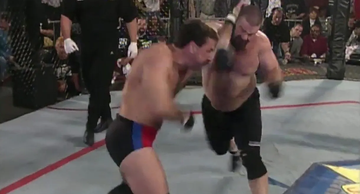 UFC 11.5: Ultimate Ultimate 2