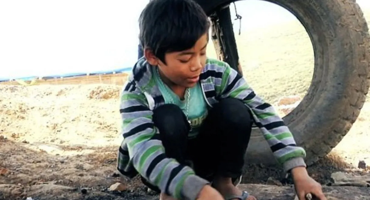 Fireflies in the Abyss