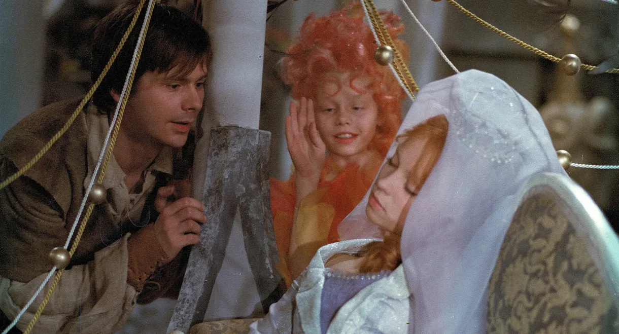 Jak Jaromil ke štěstí přišel