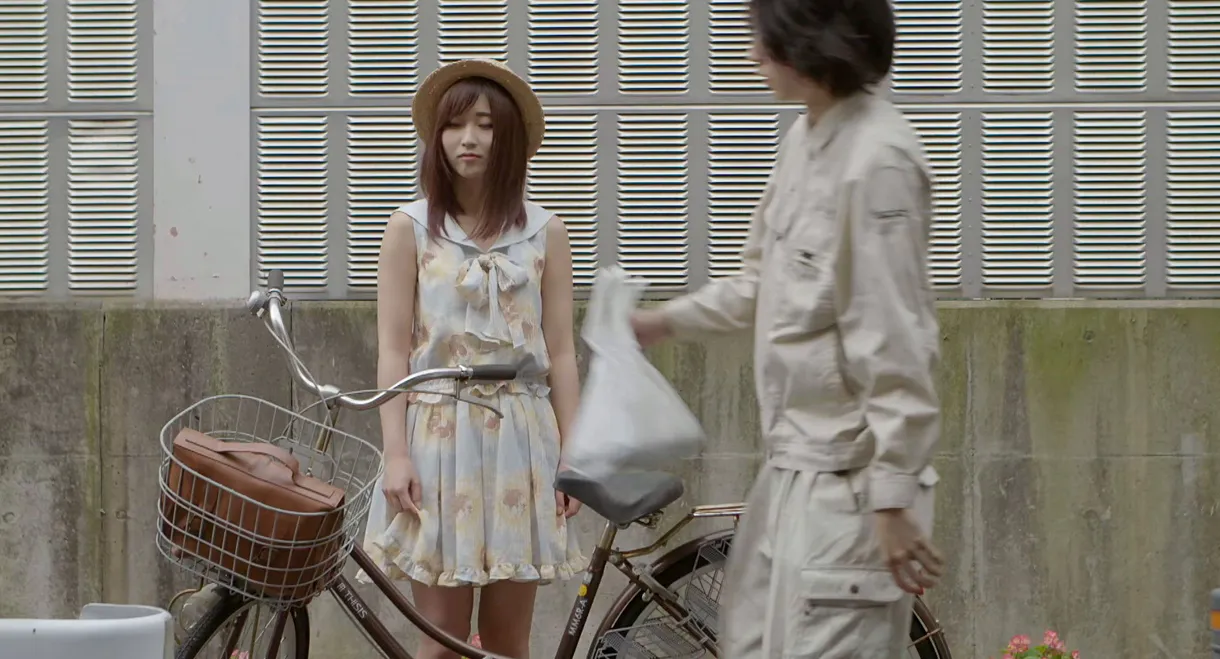 Someday's Summer: A Campus of Love at Dusk