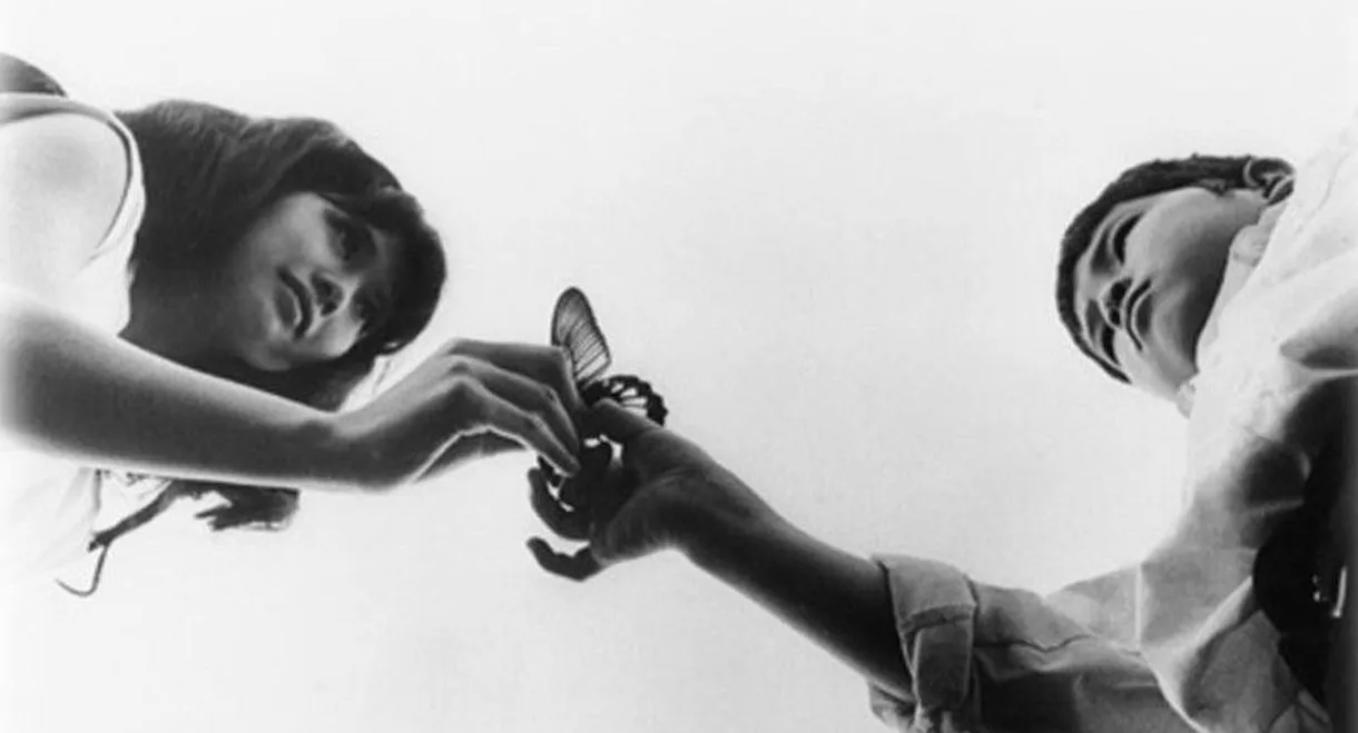 Silence Has No Wings