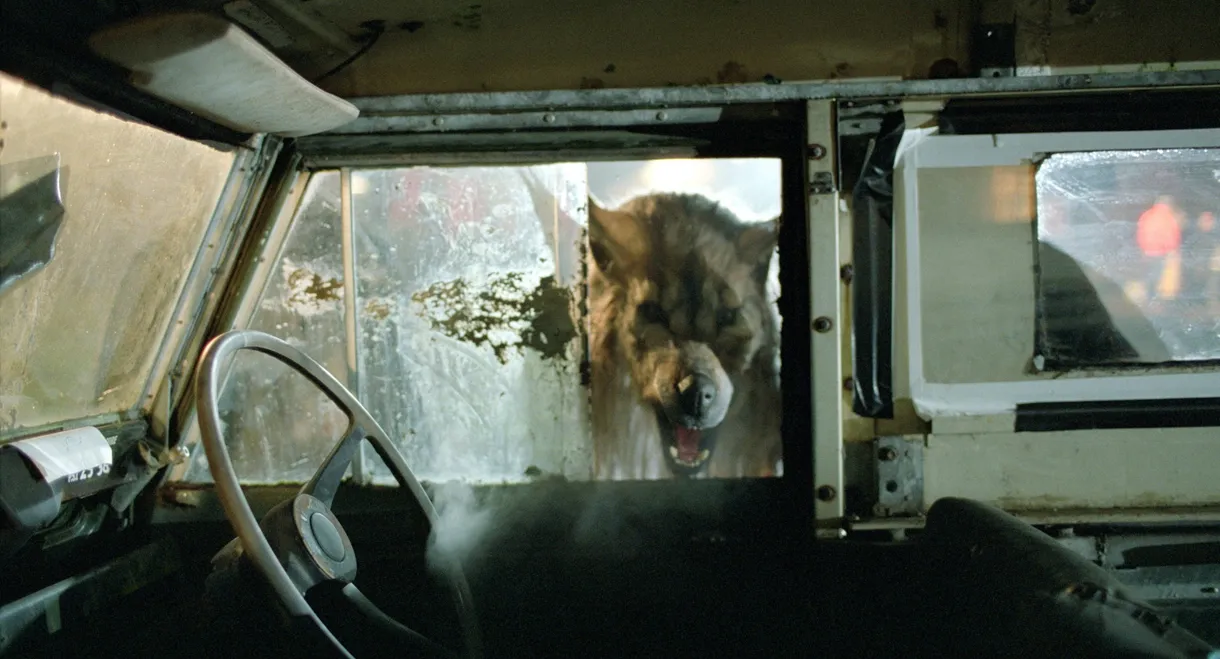 Dog Soldiers