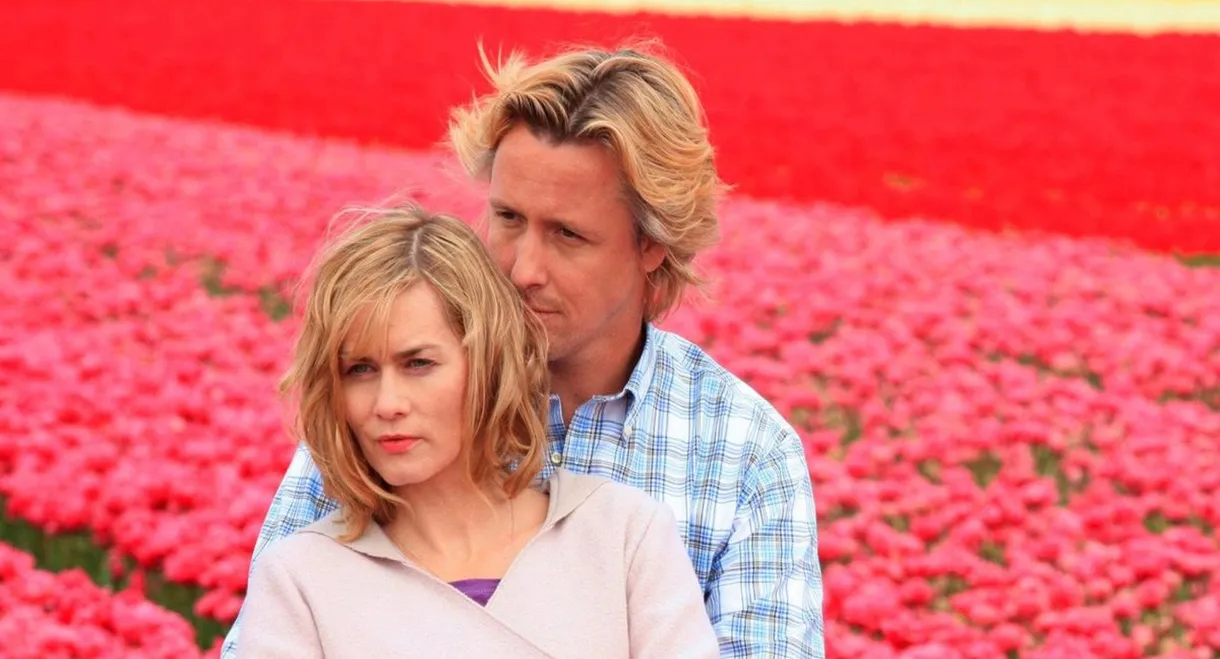 Tulpen aus Amsterdam