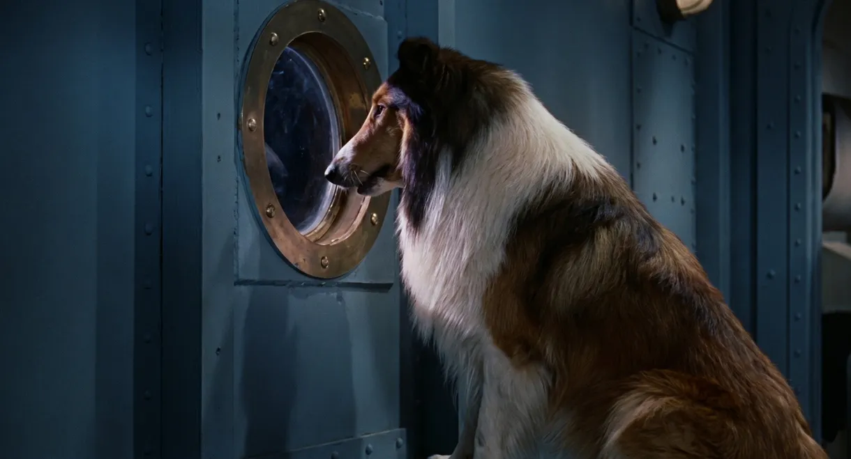 Lassie, the Voyager