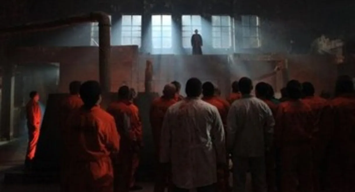 Asylum