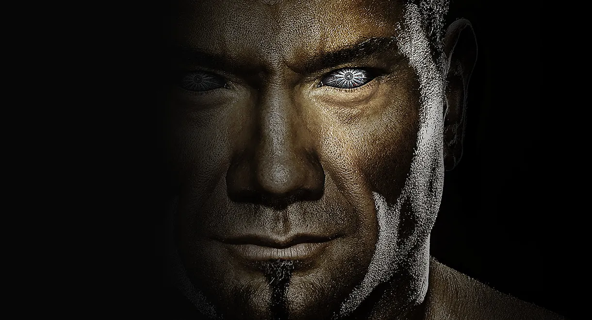 WWE Elimination Chamber 2010