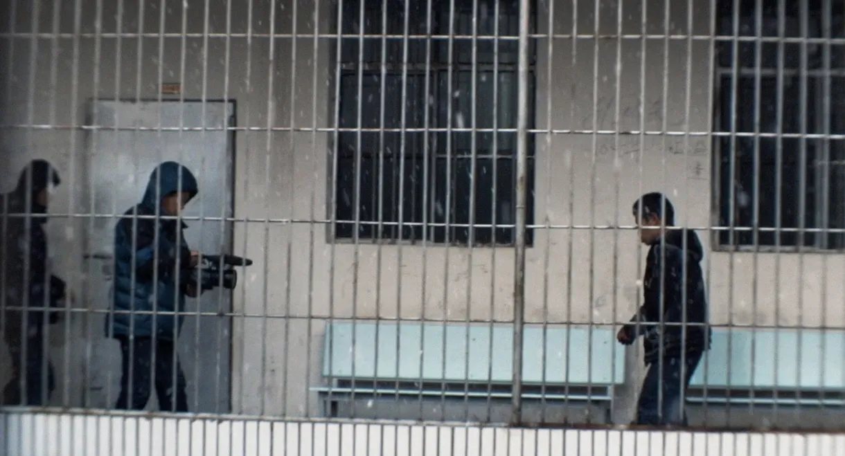 Night and Fog in Zona