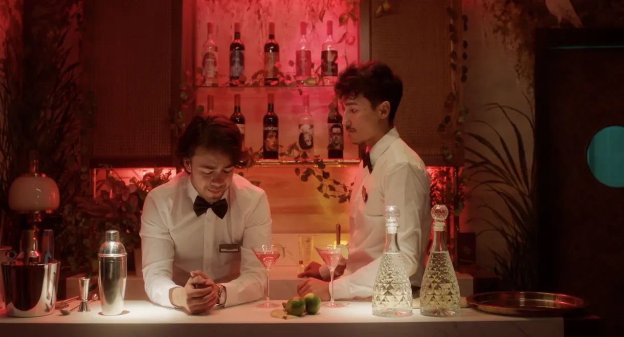 Who are the Salvatierra?