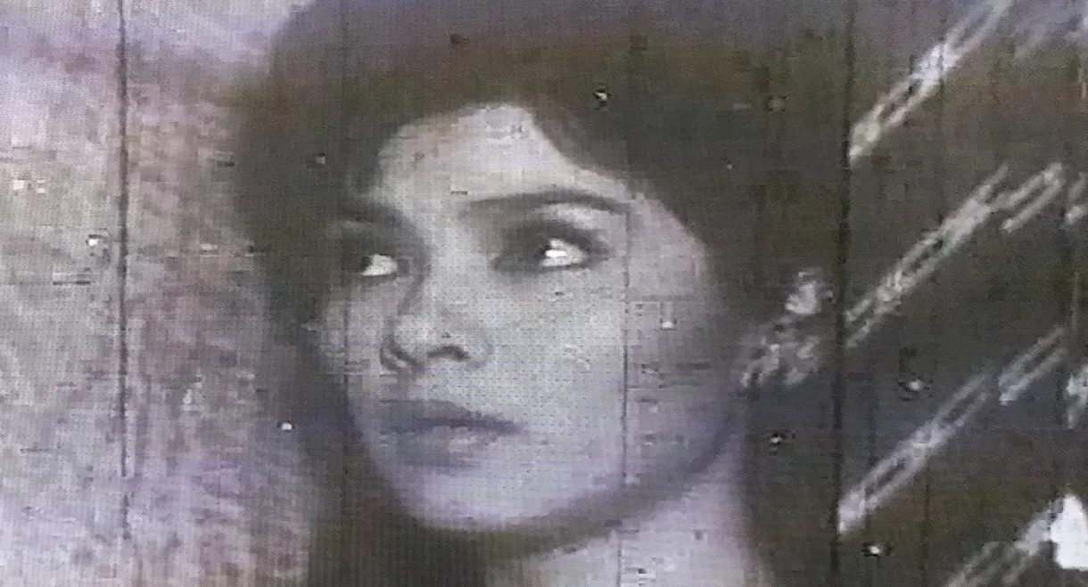 The Red Bat Apartment