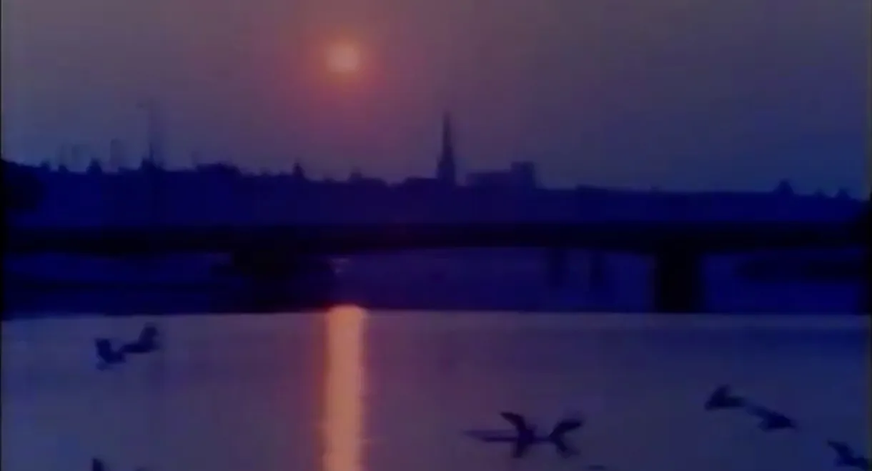 Portrait: A Film of Stockholm