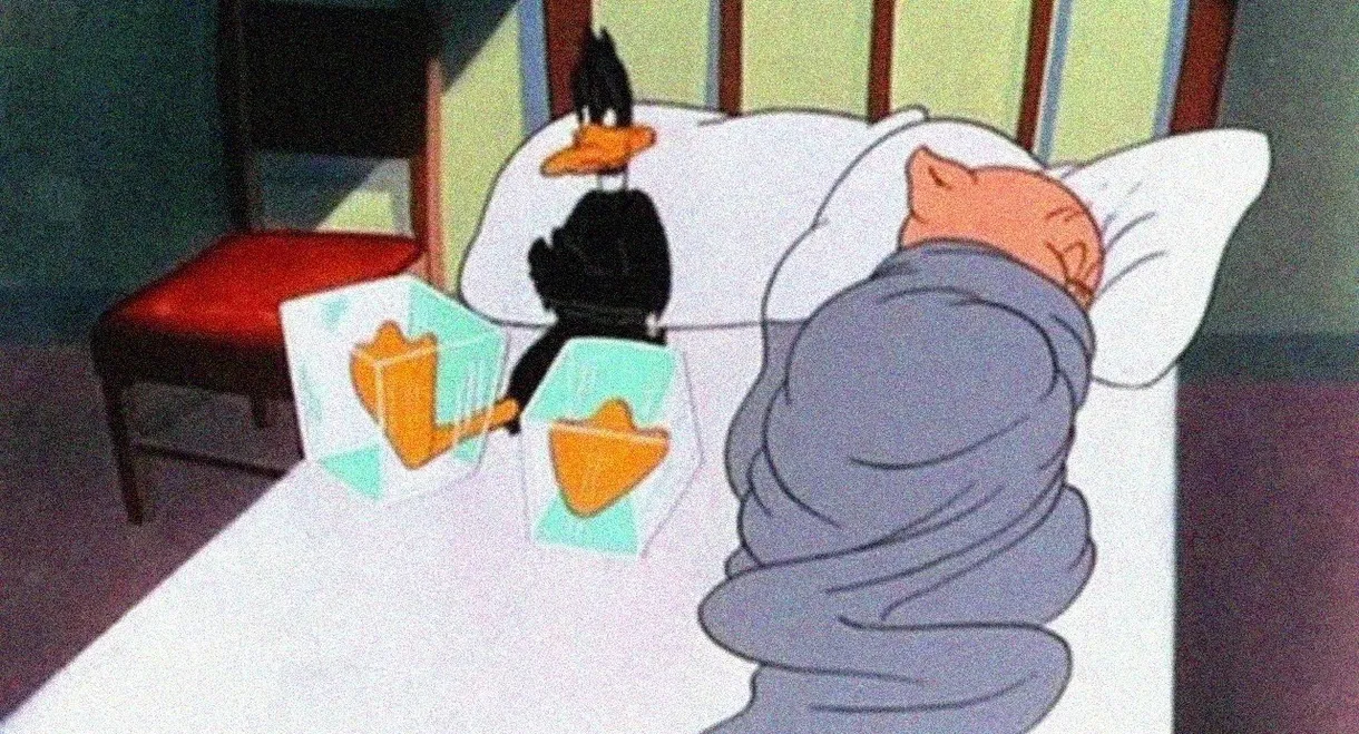 Daffy Duck Slept Here