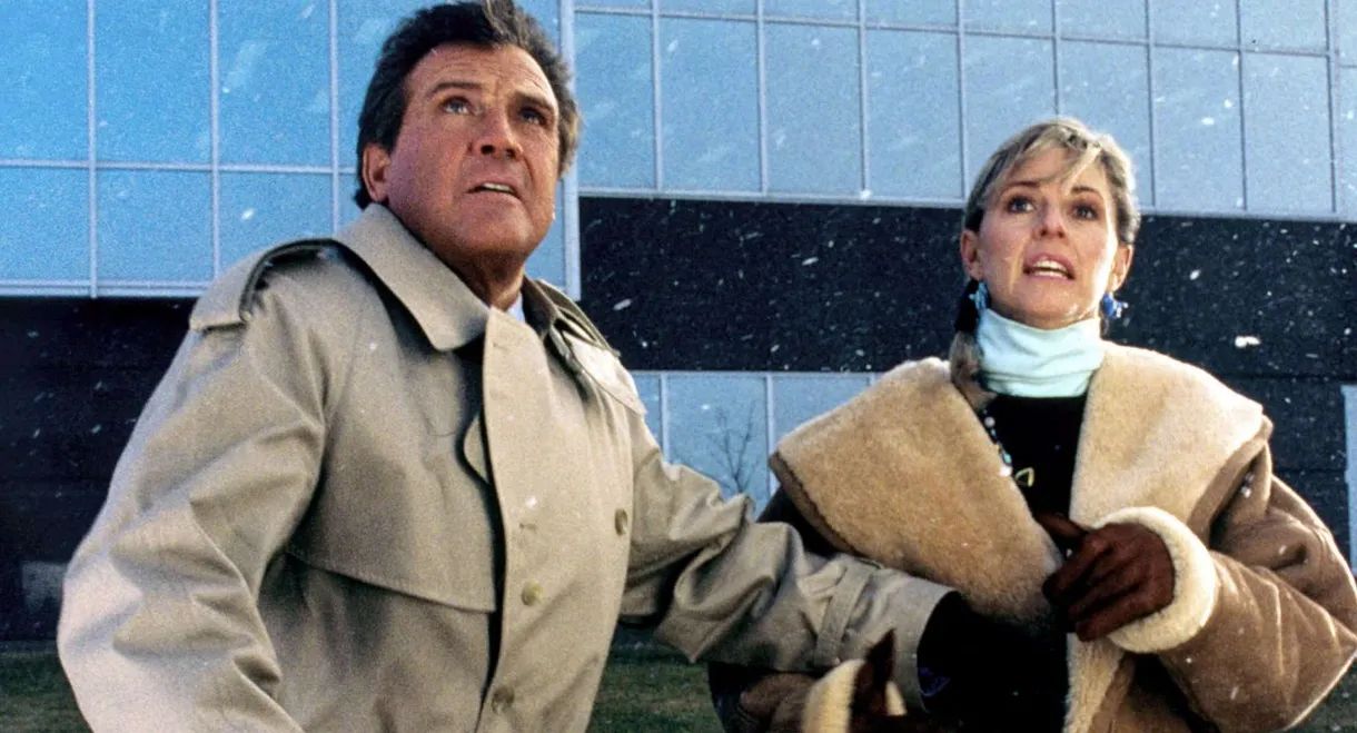 The Return of the Six-Million-Dollar Man and the Bionic Woman