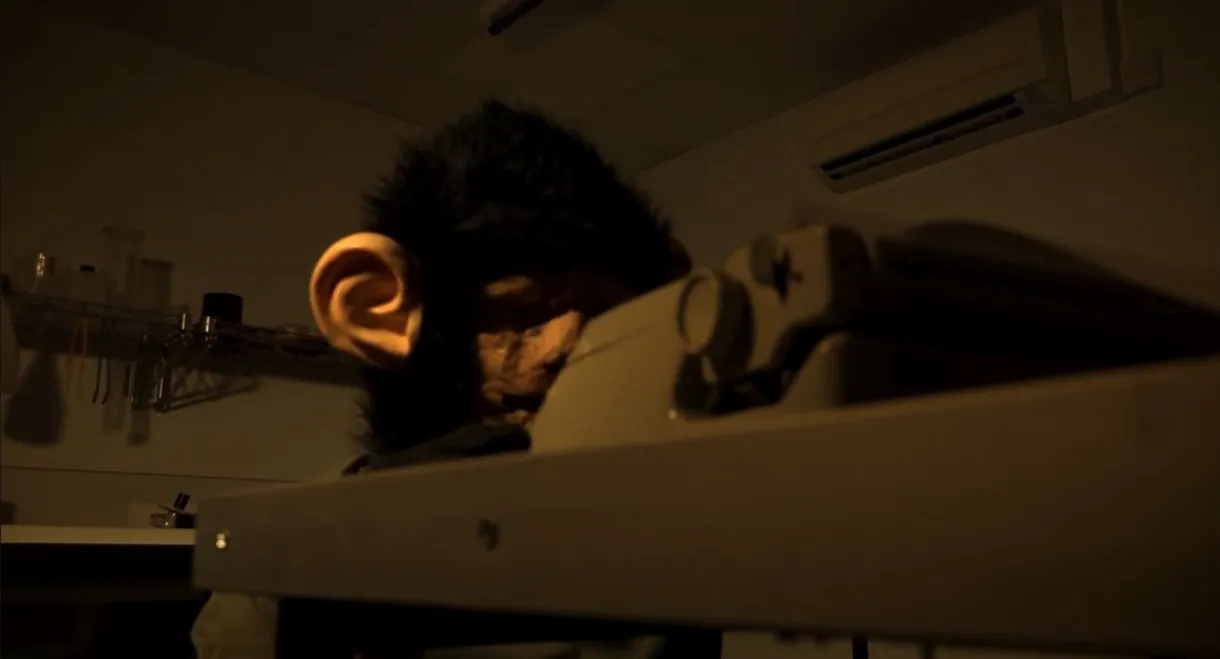 The Infinite Monkey Theorem