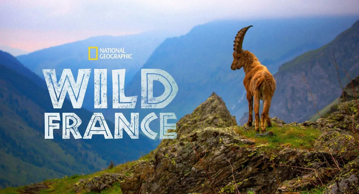 Wild France