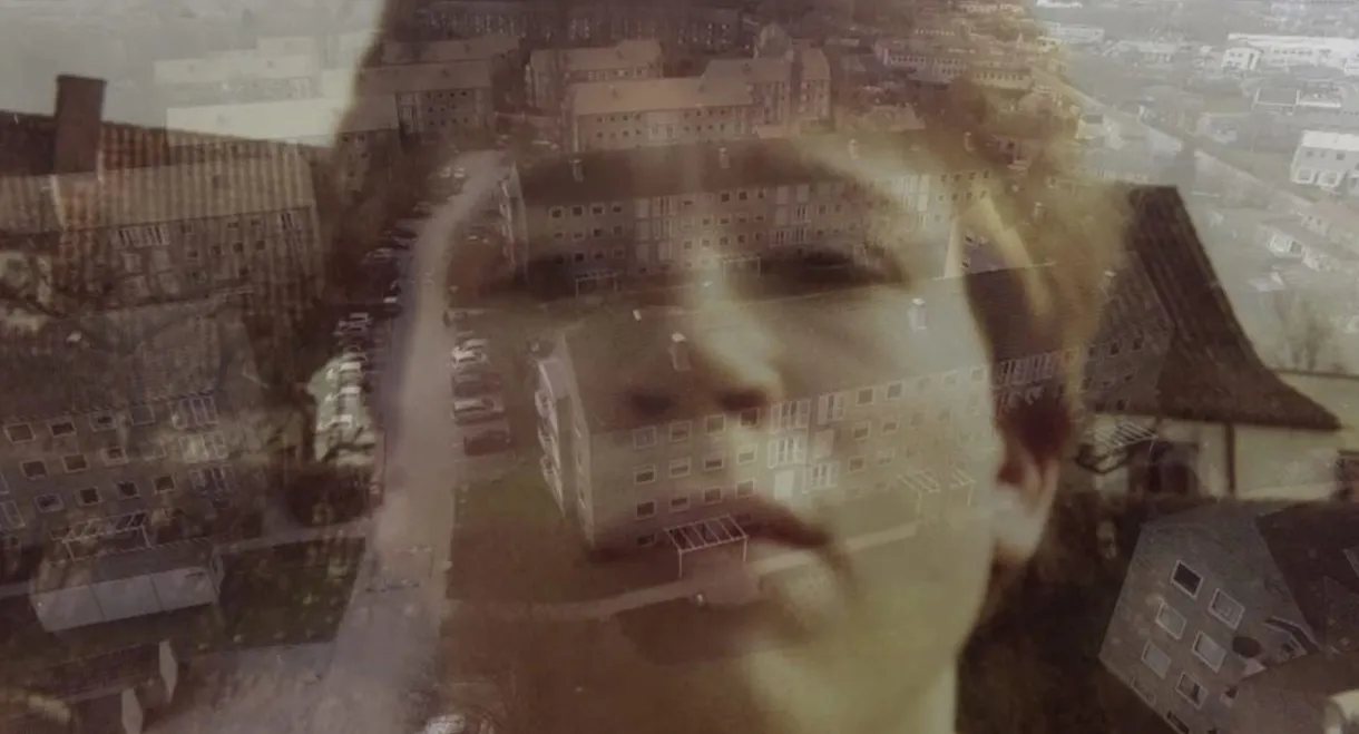 Væbnet med ord & vinger