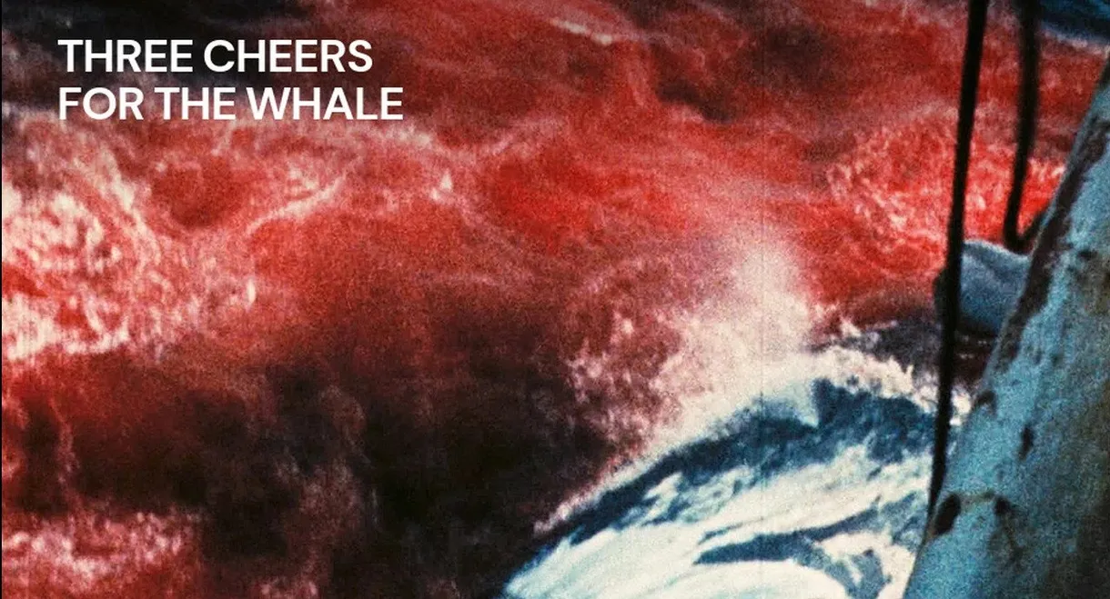 Three Cheers for the Whale