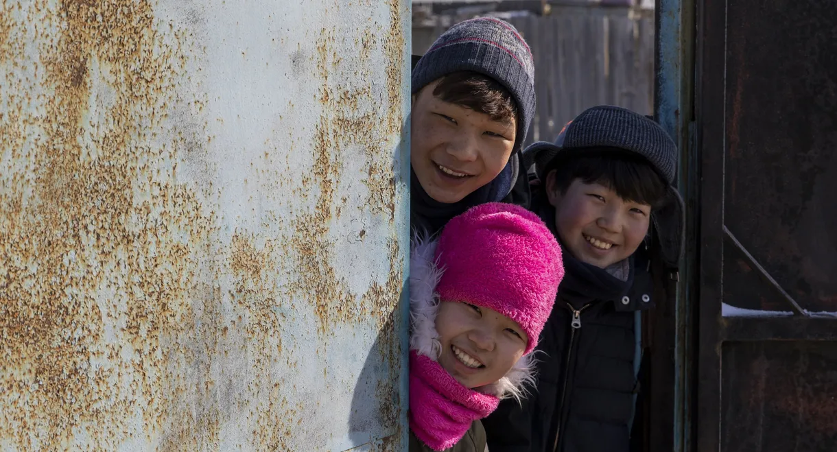 If Only I Could Hibernate