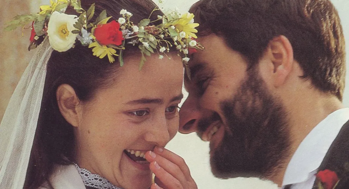 If the Sun Never Returns